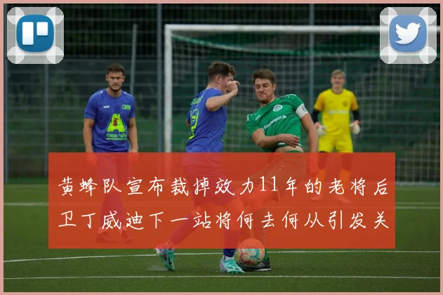 黄蜂队宣布裁掉效力11年的老将后卫丁威迪下一站将何去何从引发关注
