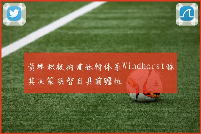 黄蜂积极构建独特体系Windhorst称其决策明智且具前瞻性