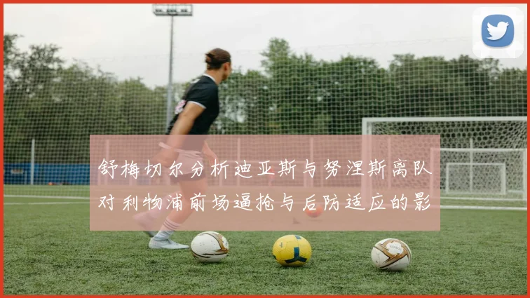 舒梅切尔分析迪亚斯与努涅斯离队对利物浦前场逼抢与后防适应的影响