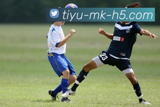 MK体育APP 封面图